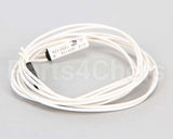 18600-0079 Carter Hoffmann Hi-Limit 248F 42"Leads