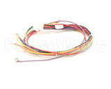 18928 Blodgett Harness, Wiring Inf/8/3/1 Stp