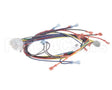 18929 Blodgett Harness, Wiring Inf/8 Stpt