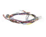 18929 Blodgett Harness, Wiring Inf/8 Stpt