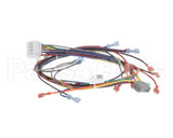 18929 Blodgett Harness, Wiring Inf/8 Stpt