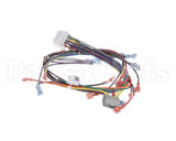 18929 Blodgett Harness, Wiring Inf/8 Stpt