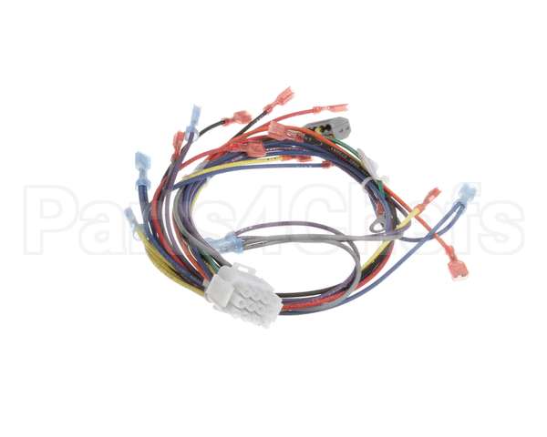 18929 Blodgett Harness, Wiring Inf/8 Stpt