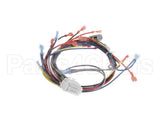 18929 Blodgett Harness, Wiring Inf/8 Stpt