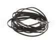 18NBNTC5FT Wasserstrom Sensor