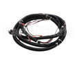 19002729 Franke Cable Assembly, Motor Harness F3D3