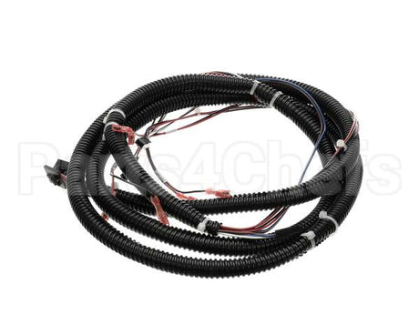 19002729 Franke Cable Assembly, Motor Harness F3D3