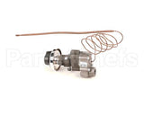 190700 Low Temp Industries Thermostat,Gas(Bjwa)