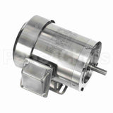 191949 Leeson Motor
