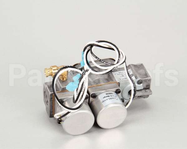 1935702 Garland Valve-Gas, Lp Dual W/Shut 10In