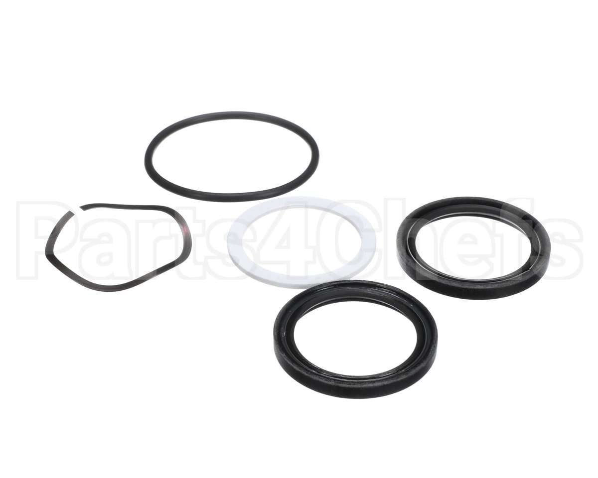 1H800-0000022 Cleveland 300 Gal Hak Seal Kit Drive Side