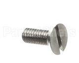 200101 Robot Coupe Screw Tf M4X10 St/Less