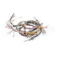 20018 Compatible Blodgett Harness Wiring Inf 2Sp