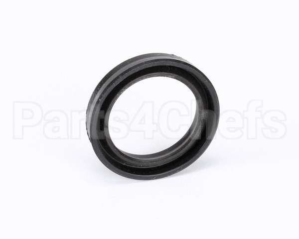 200427 Lamber-Eurodib Min Ring Viton Rinse Aid Pump
