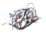 20062801 Amana Menumaster Harness-Oven