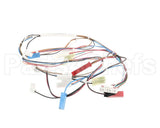 20116901 Amana Menumaster Harness-Oven 50