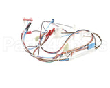 20116901 Amana Menumaster Harness-Oven 50