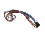 20138 Gaylord Uv Module/Ballast Wiring Harn