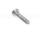 203056 Robot Coupe Screw 3.9X19 Torx