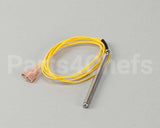 20360 Blodgett Probe, Temperature Rtd