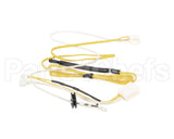 204000032 Rinnai Thermistor Kit