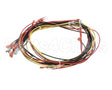 20444 Blodgett Harness, Wiring W/Cook
