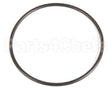 20459 Blakeslee O Ring Belt