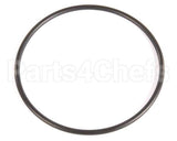 20459 Blakeslee O Ring Belt