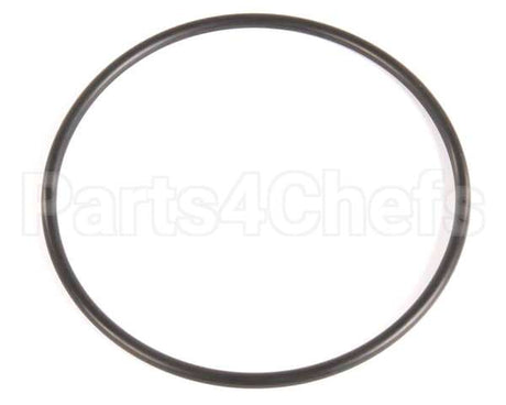 20459 Blakeslee O Ring Belt