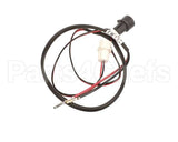 2055731 Beverage Air Module Wiring Harness