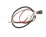 2055731 Beverage Air Module Wiring Harness