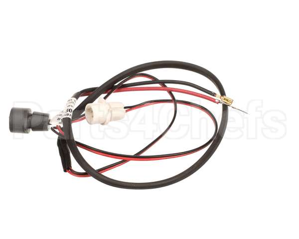 2055731 Beverage Air Module Wiring Harness