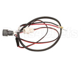 2055731 Beverage Air Module Wiring Harness