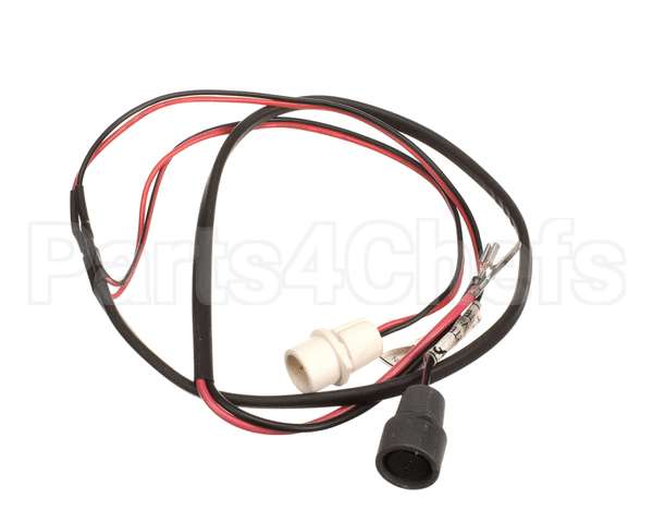 2073986 Beverage Air Wiring Harness
