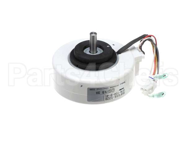 208000047 Rinnai Convection Motor, Ex17C, Ex22C/W