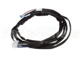 21-02608 Structural Concepts Harness 12 Cp F-Tyco C-14Gas Hg-3P L-48