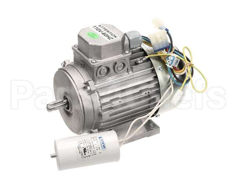 210441C Zummo Motor (110V-60Hz)