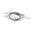 21056 Compatible Blodgett Harness, Wiring Control Panel