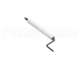 21200167 Gemini Electrode Assembly