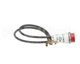 212071 Duke Bulb,125V Pilot Red
