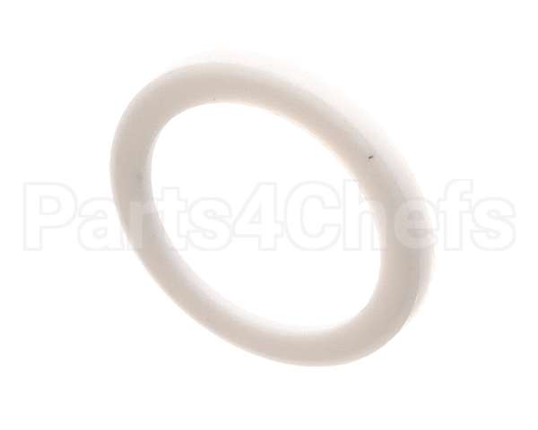 21229 Fisher Seal Tfe