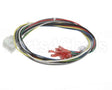 21591 Blodgett Harness,Conduit 2Sp