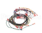 21646 Henny Penny Harn-120V Ofg/Oga34X Wire
