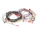 21646 Henny Penny Harn-120V Ofg/Oga34X Wire