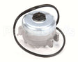 217879 Duke Motor,Fan,Rbc, 120V #050-0259-00