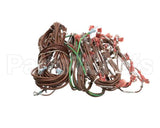 21792600 Bakers Pride Harness: Wire Electric Oven
