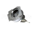 21801 Giles Blower, Draft, 115V, Gas (Non Tapped)