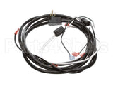 2183300 Delfield Harness,Wire,Cold Pans W/Plug