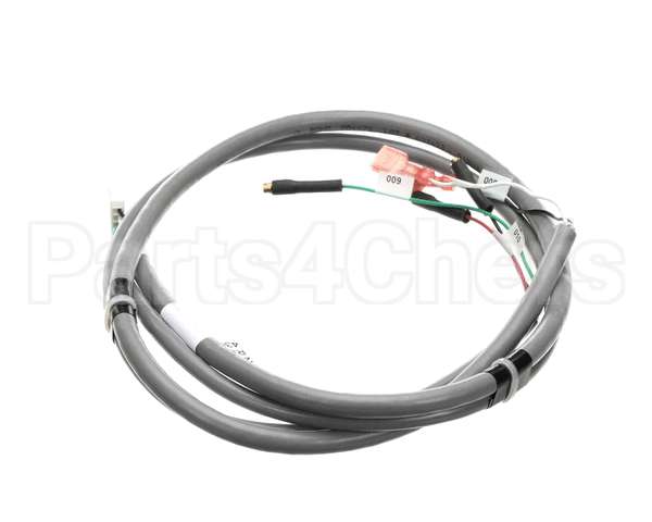 2183908 Delfield Harness,Ldd,Probe,Nitro