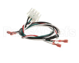 2184317 Delfield Harness,Coil,Mk7,Energy Coil